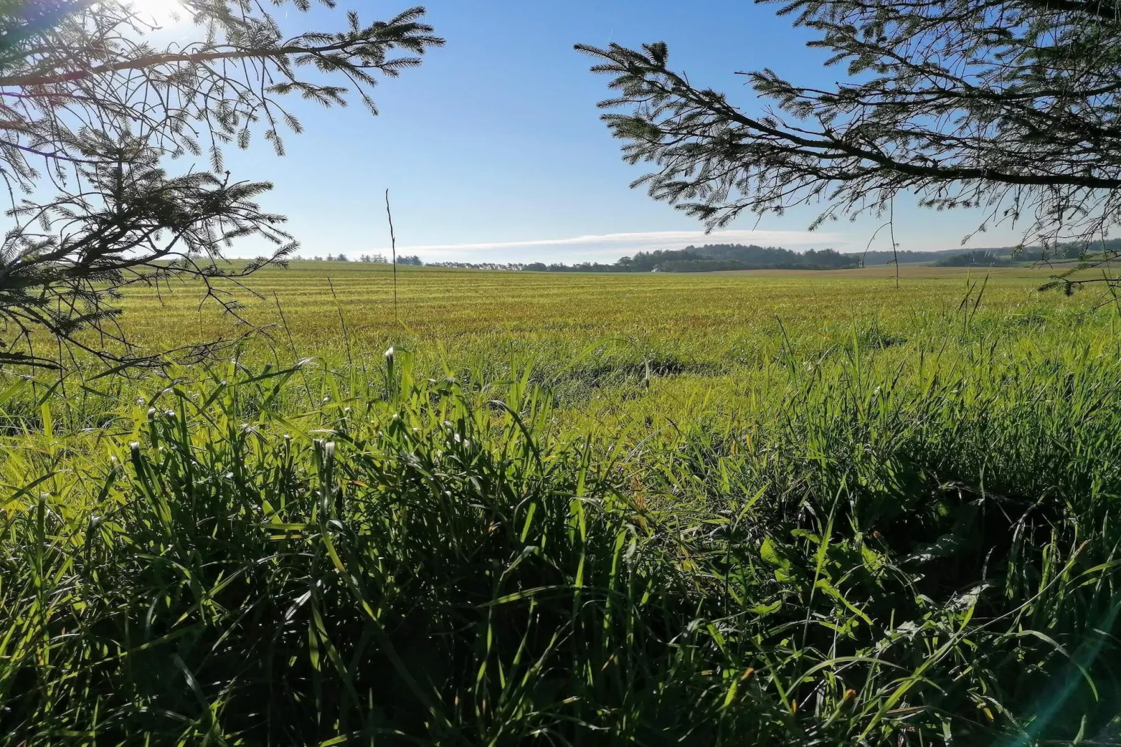 Panoramisch kustverblijf -- By Traum Ferienwohnungen-Niet-getagd