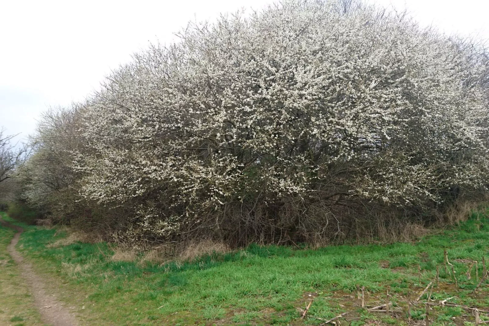 Modern toevluchtsoord met uitzicht -- By Traum Ferienwohnungen-Niet-getagd