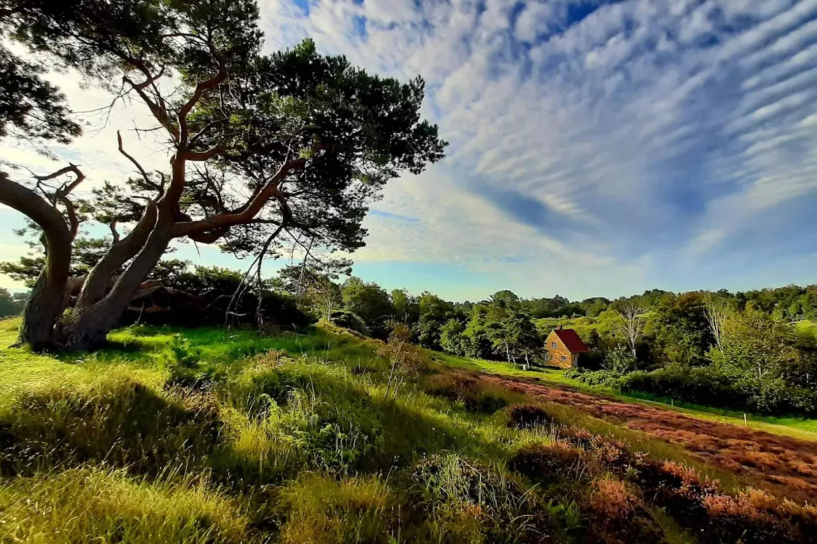 6 persoons vakantie huis in Vejby-By Traum