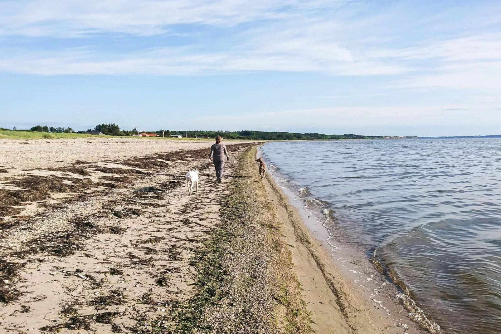 12 persoons vakantie huis in Løgstør-By Traum-Waterzicht