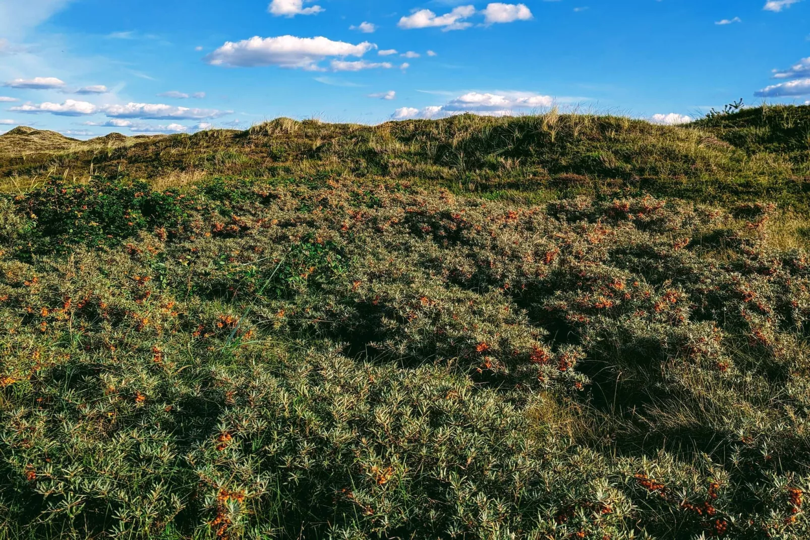 6 persoons vakantie huis in Nørre Nebel-By Traum-Niet-getagd