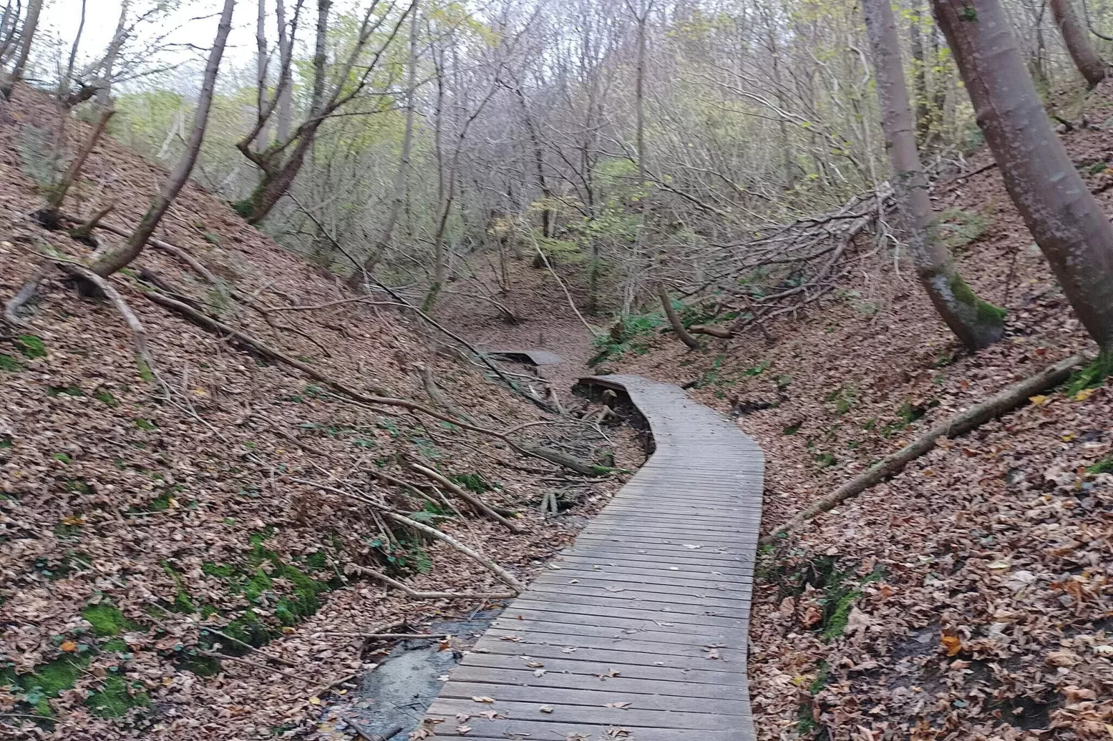 8 persoons vakantie huis in Brovst-By Traum-Niet-getagd