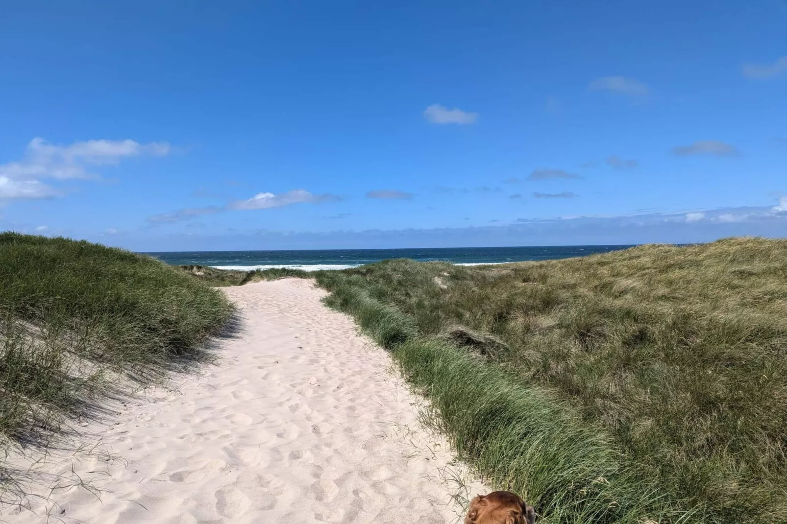 7 persoons vakantie huis in Hurup Thy-By Traum-Niet-getagd