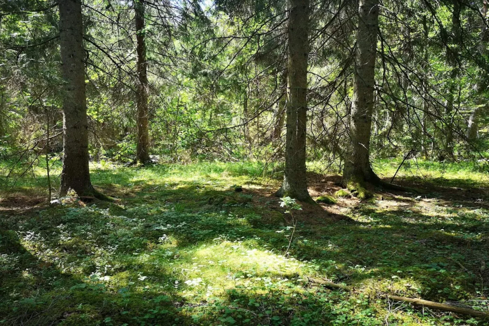 7 persoons vakantie huis in BRUZAHOLM-By Traum-Niet-getagd