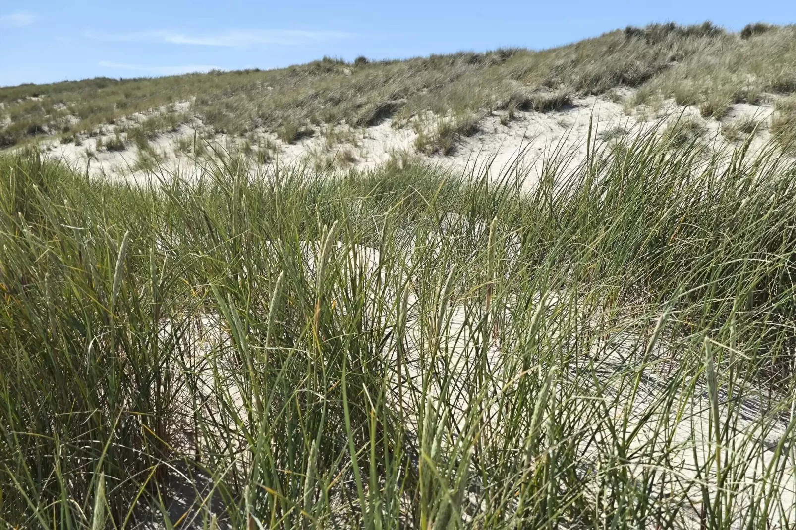 6 persoons vakantie huis in Ålbæk-By Traum