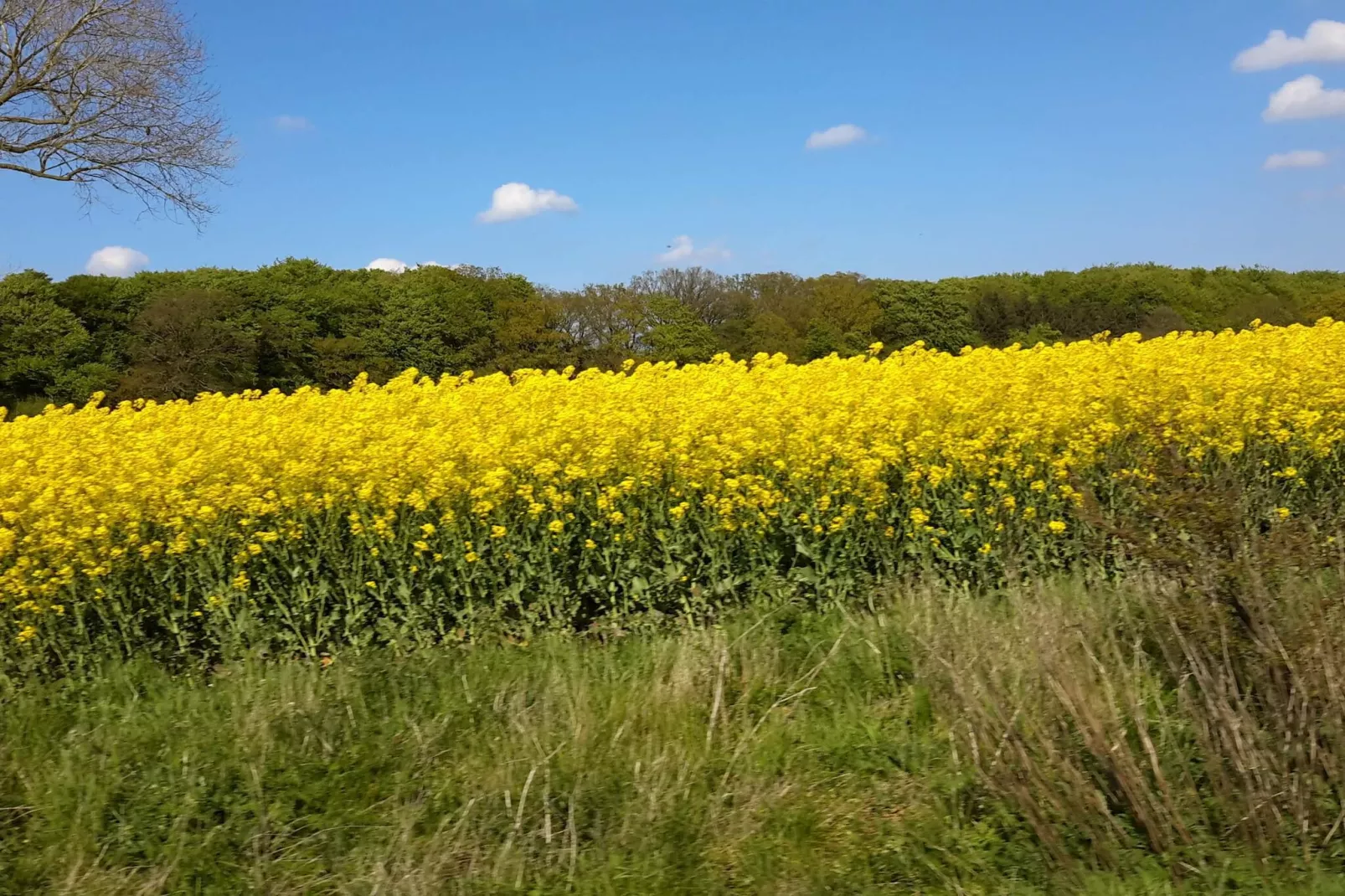 7 persoons vakantie huis in Svendborg-By Traum-Niet-getagd