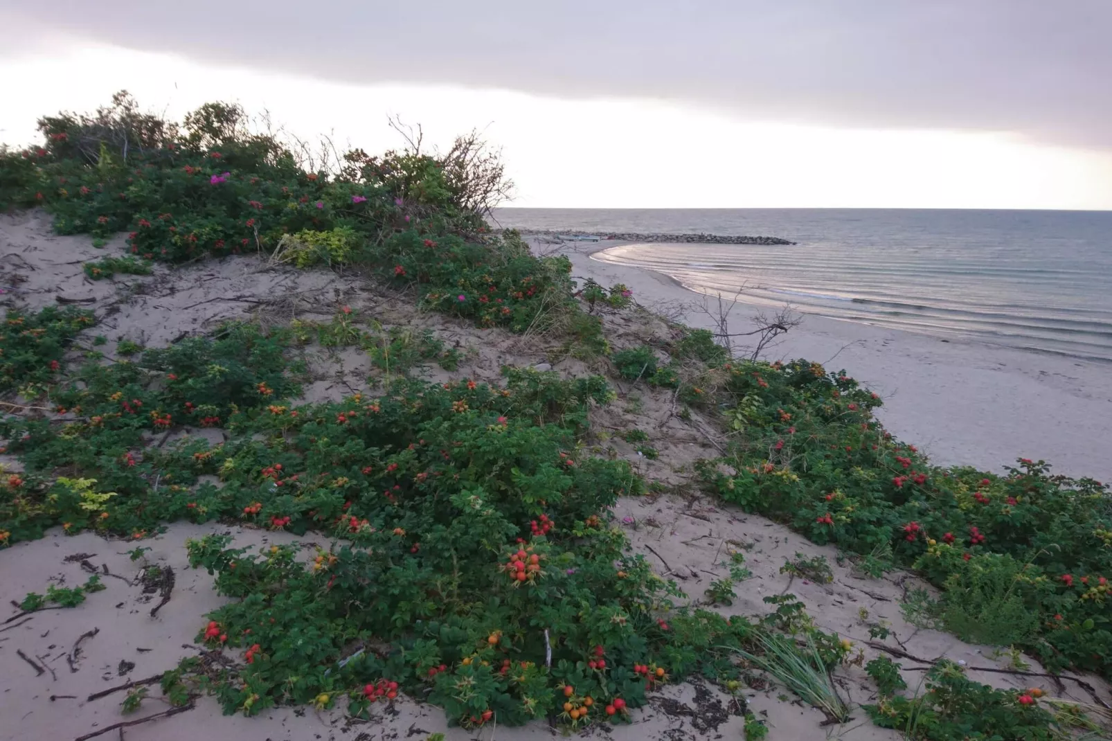 6 persoons vakantie huis in Melby-By Traum