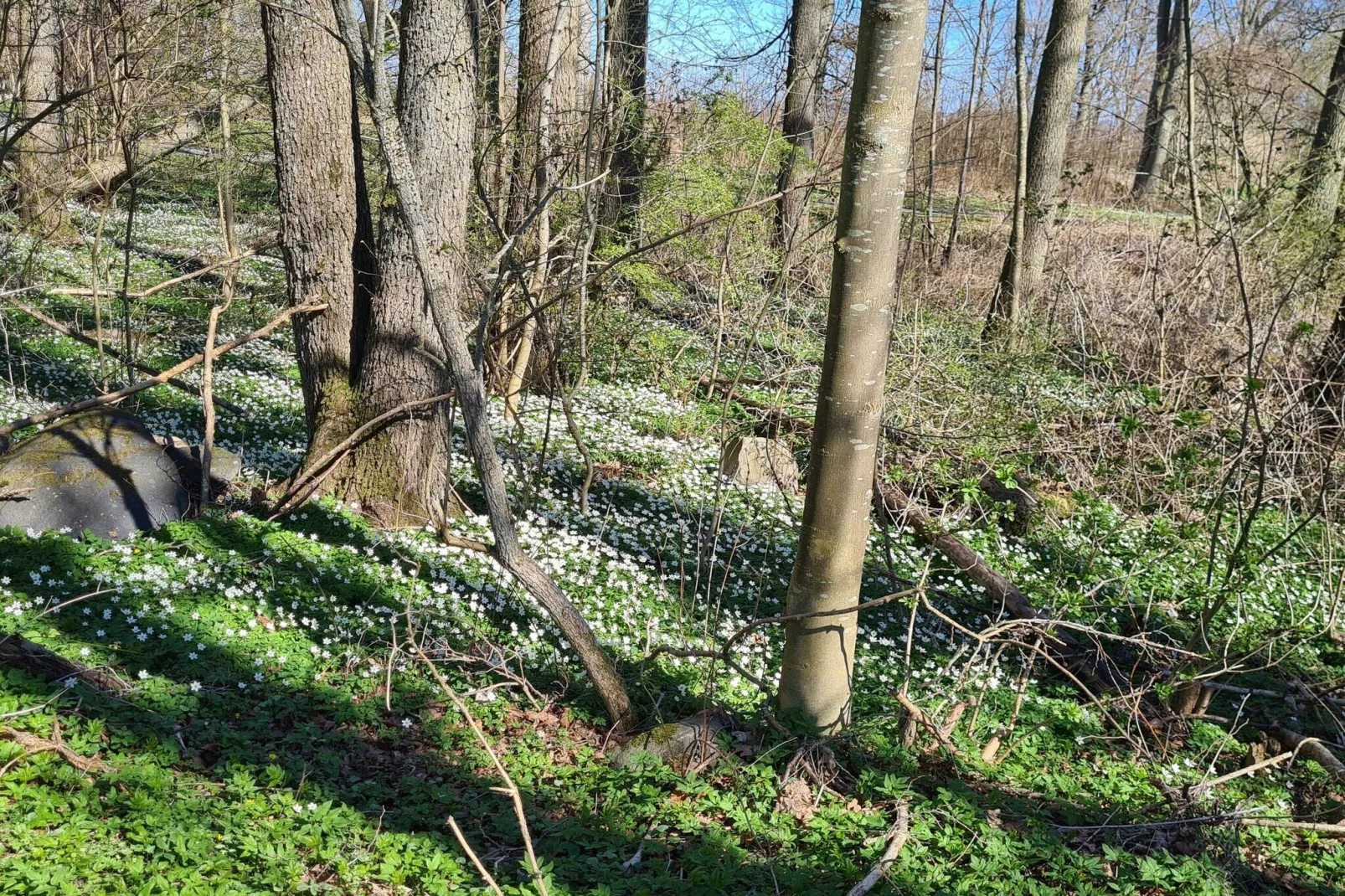 4 persoons vakantie huis in EVERÖD-By Traum-Niet-getagd