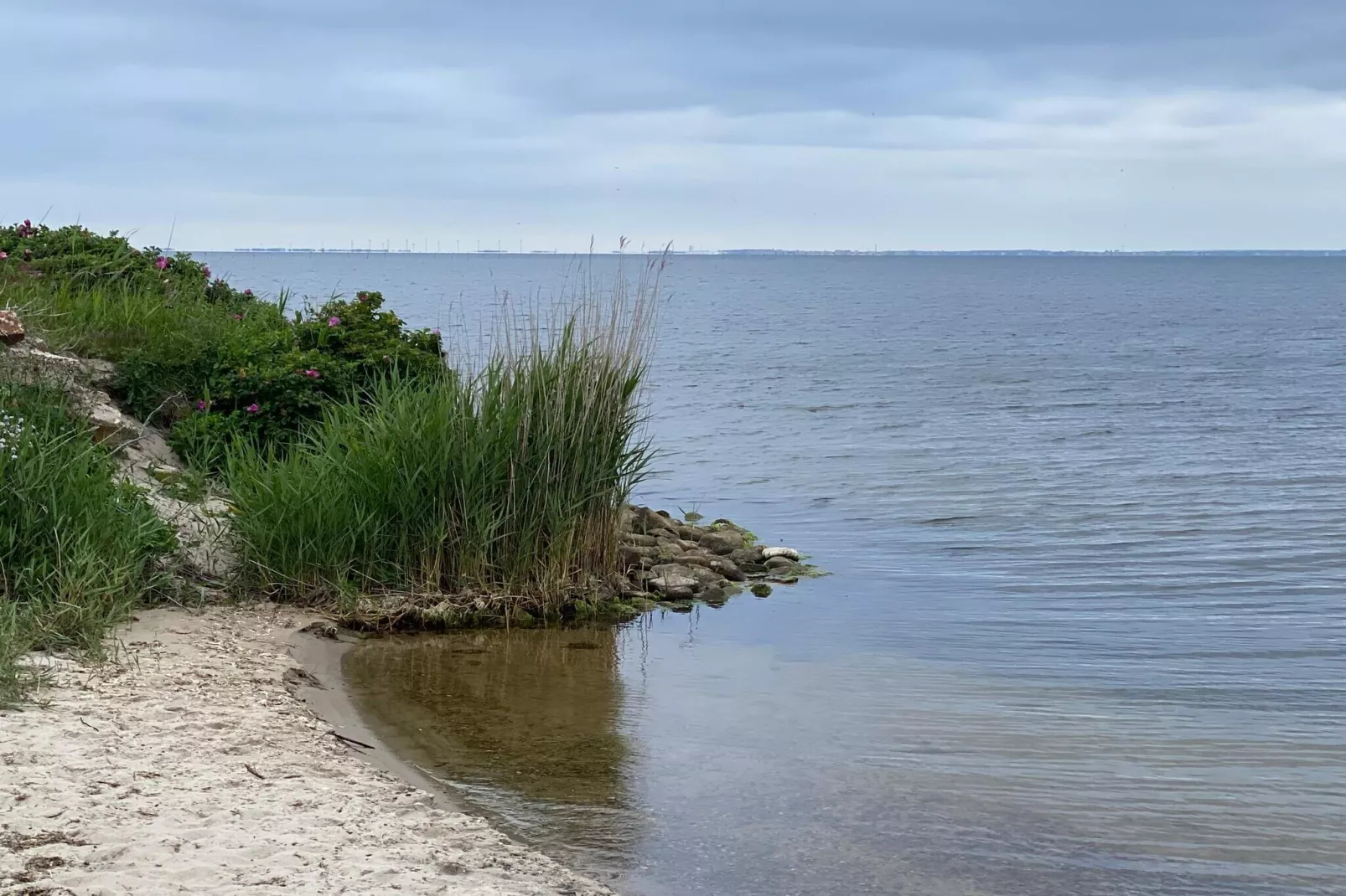 6 persoons vakantie huis in Hvide Sande-By Traum