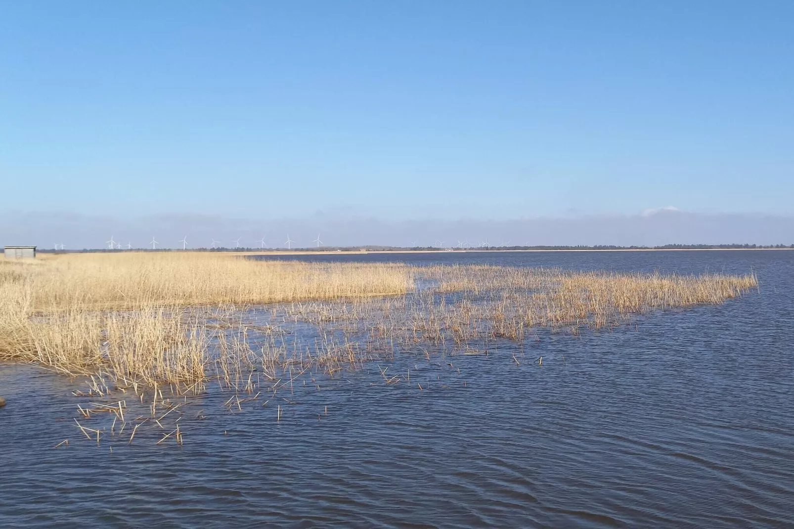 7 persoons vakantie huis in Ulfborg-By Traum-Buitenlucht