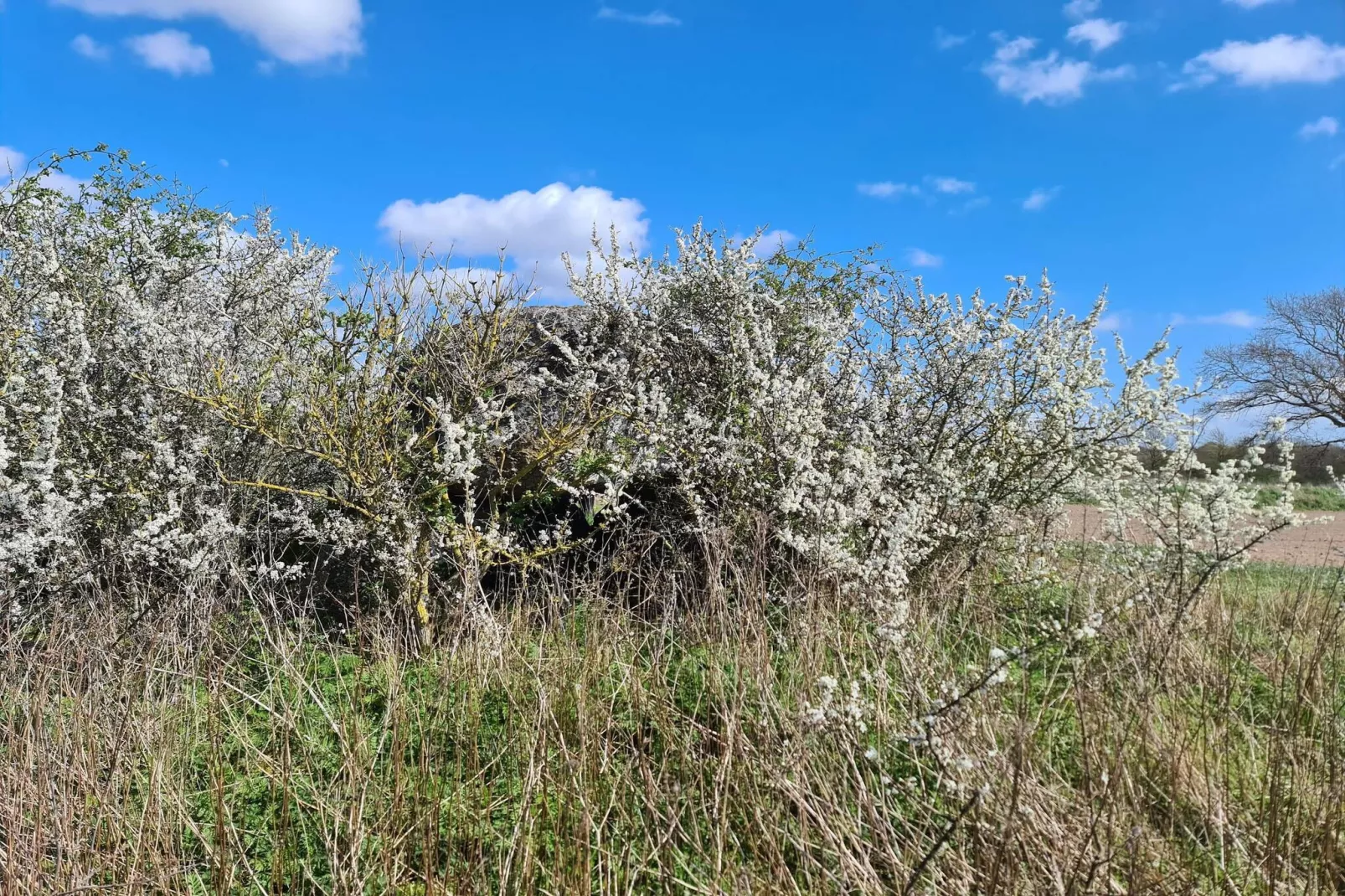 6 persoons vakantie huis in Haarby-By Traum-Waterzicht