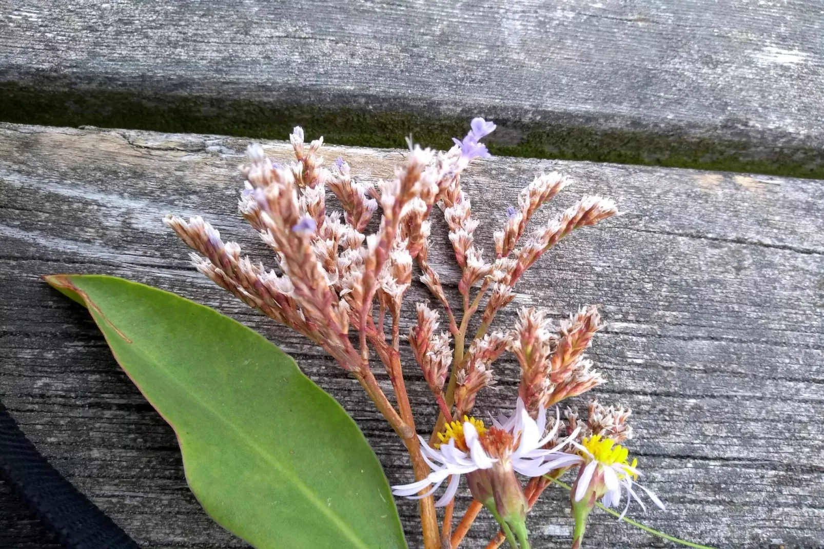 6 persoons vakantie huis in Læsø-By Traum