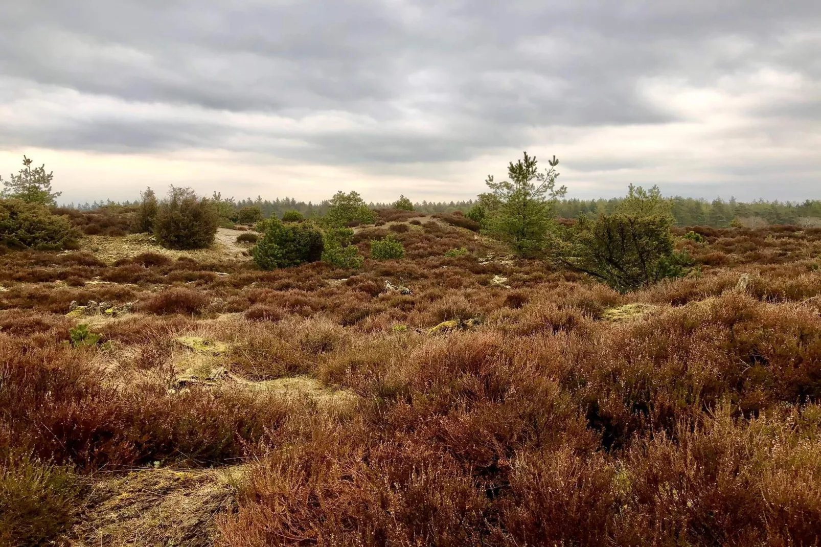 4 persoons vakantie huis in Grindsted-By Traum