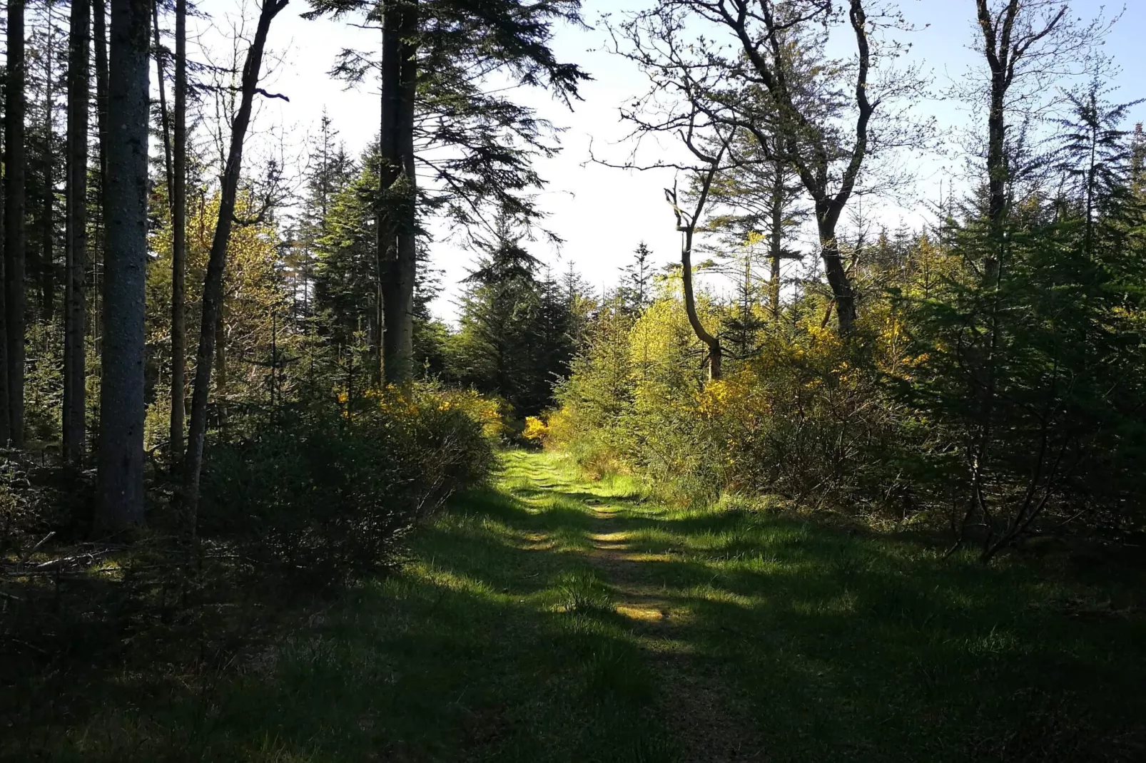 6 persoons vakantie huis in Thisted-By Traum