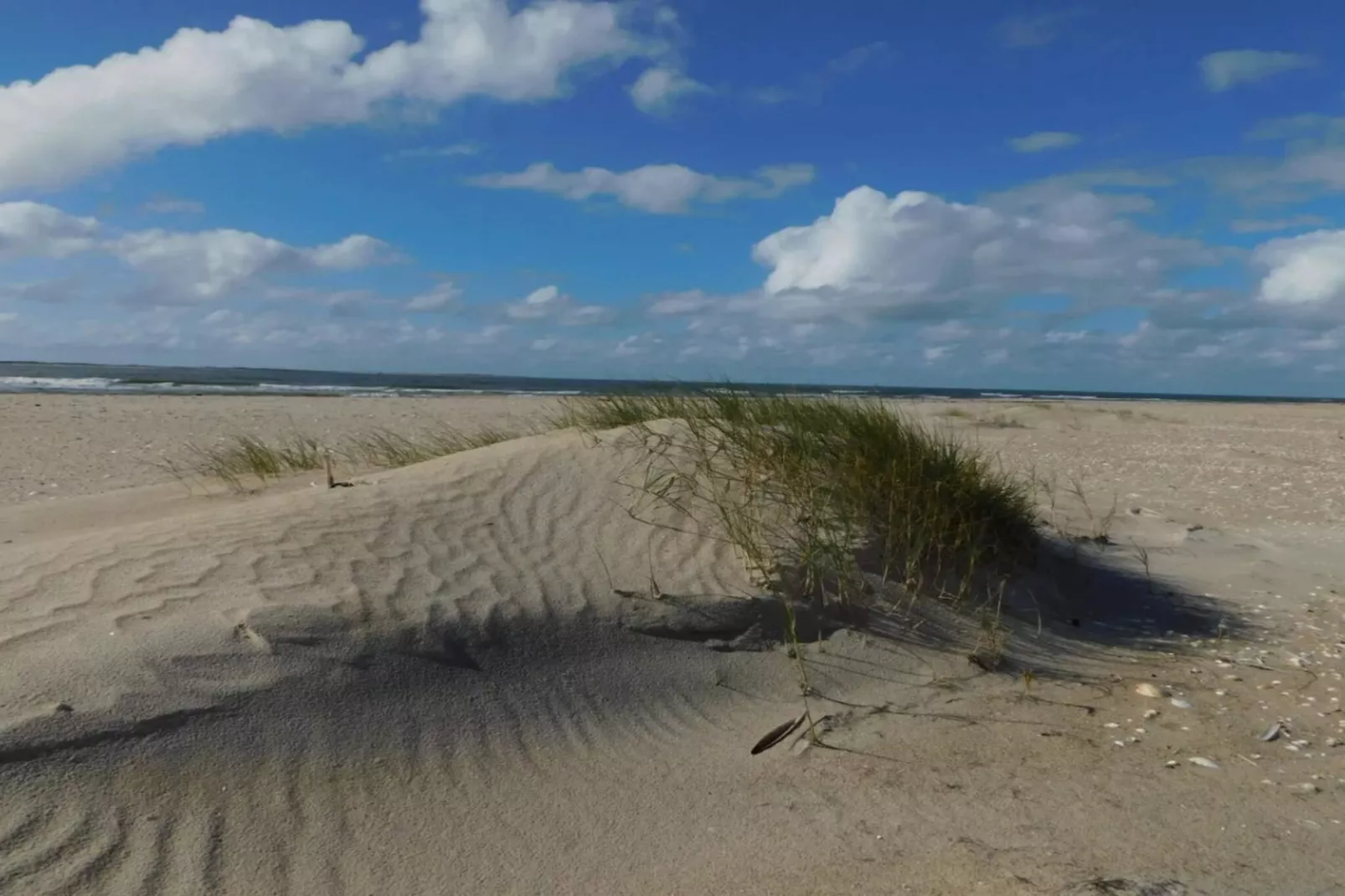 4 persoons vakantie huis in Rømø-By Traum-Niet-getagd