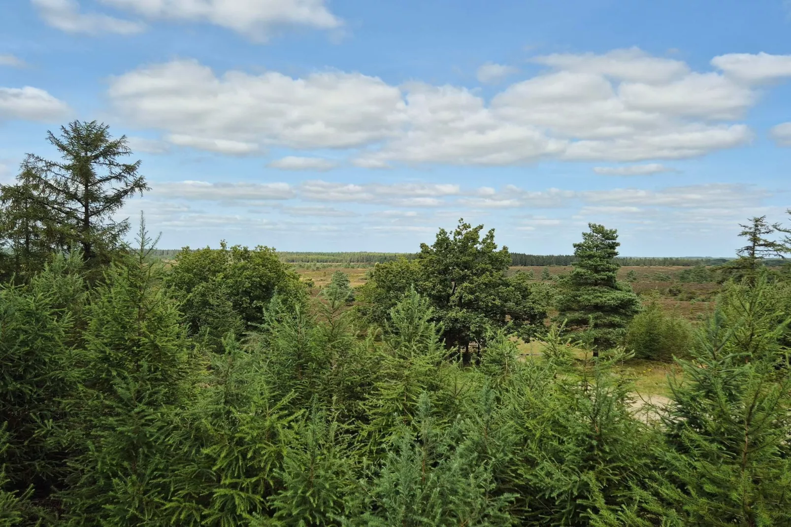 Gezinsuitje in Hovborg -- By Traum Ferienwohnungen