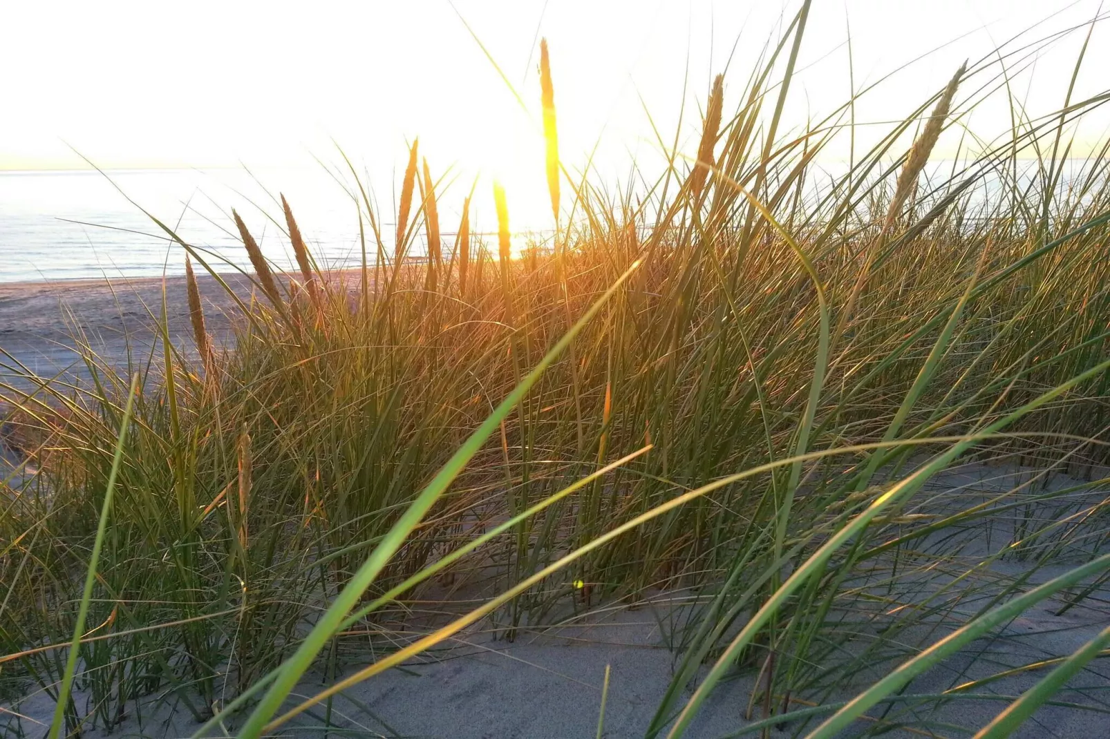 6 persoons vakantie huis in Hirtshals-By Traum