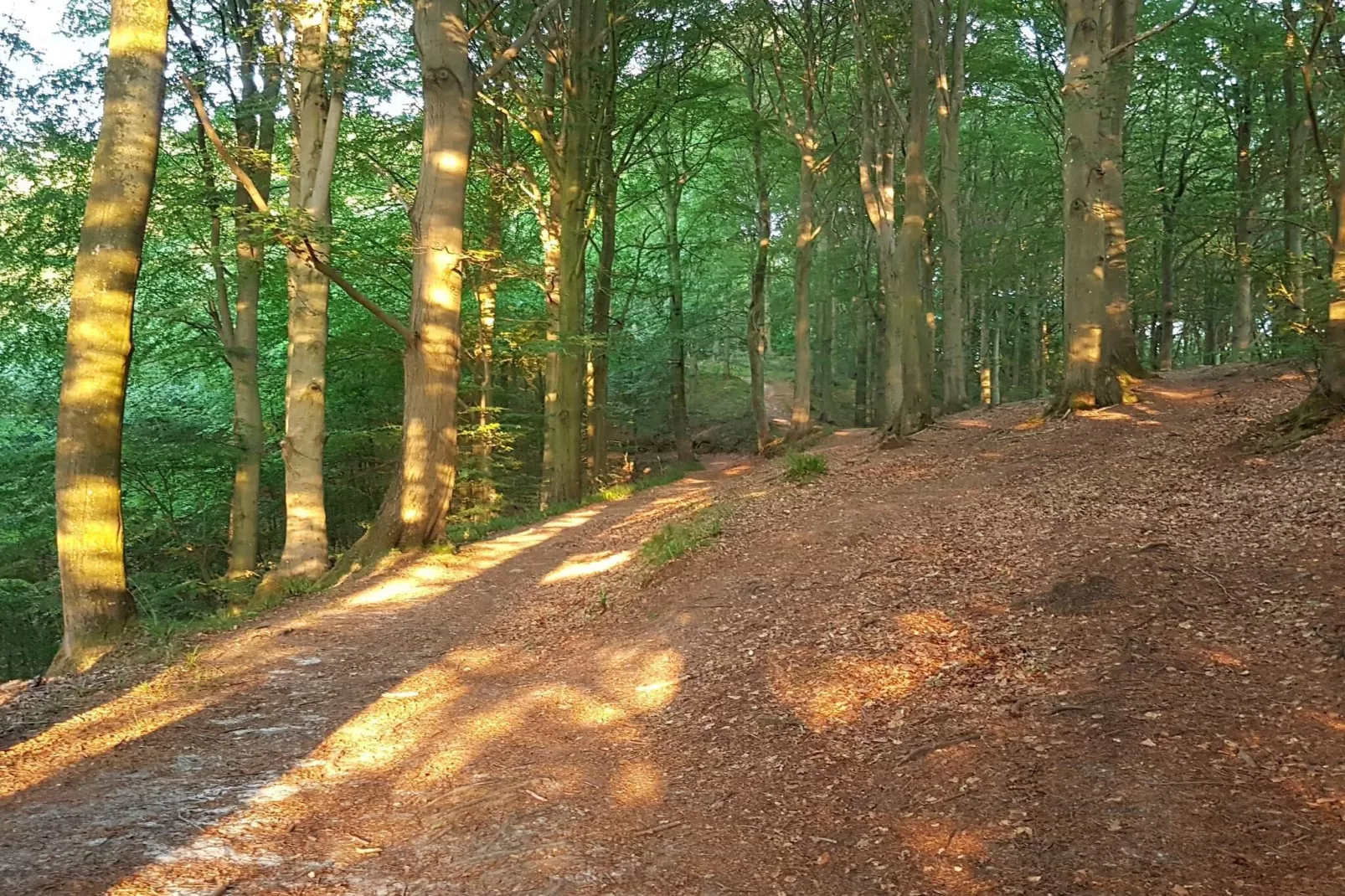 Gezellig toevluchtsoord nabij strand -- By Traum Ferienwohnungen