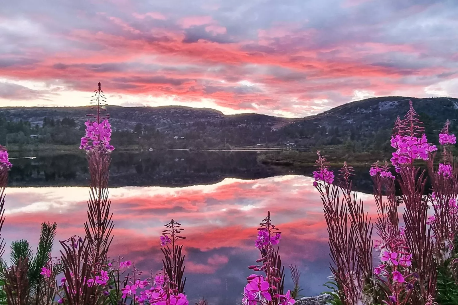 PANORAMAVEI HYTTENR 594 BORTELID