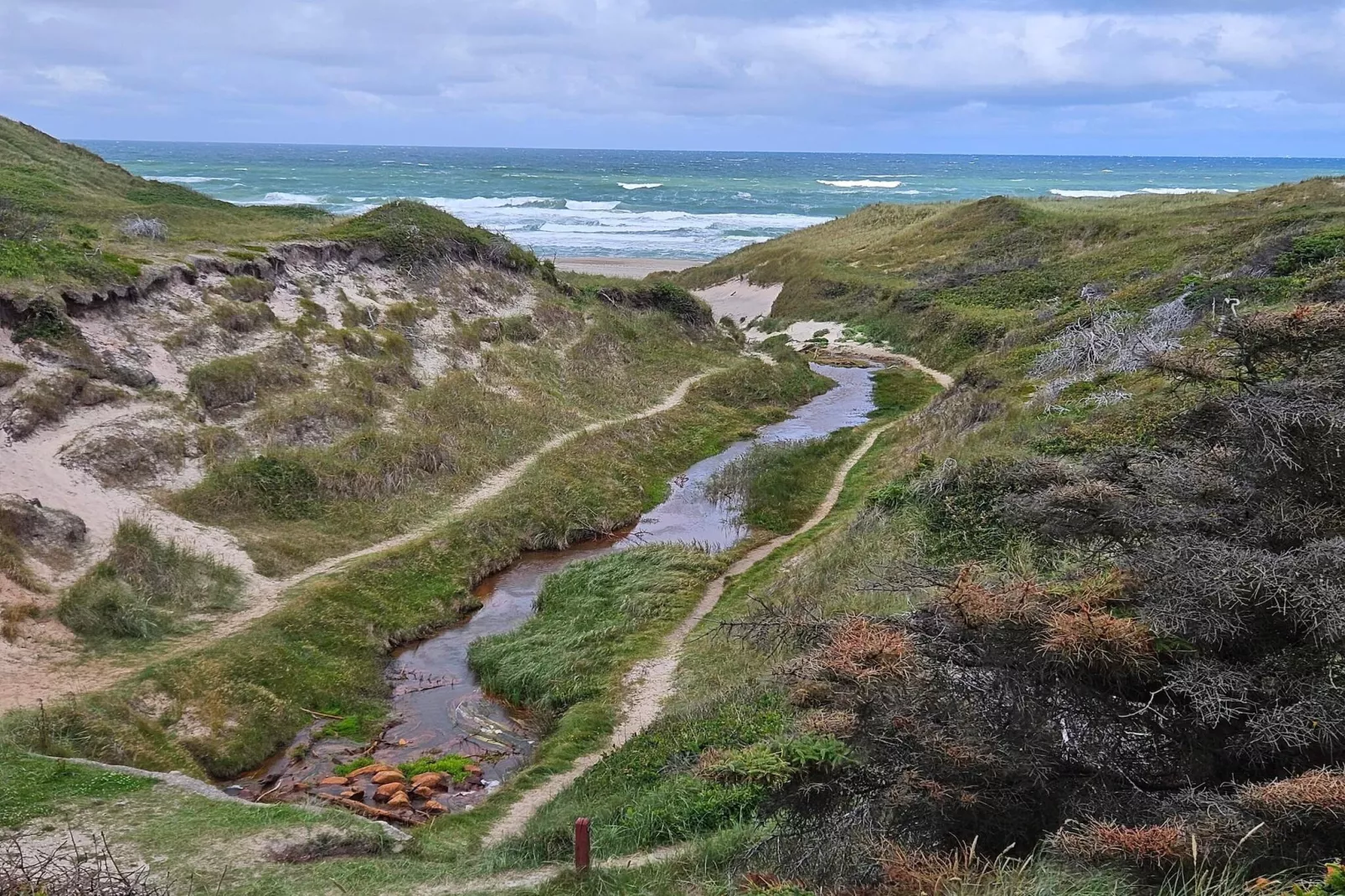 5 persoons vakantie huis in Thisted-By Traum-Niet-getagd