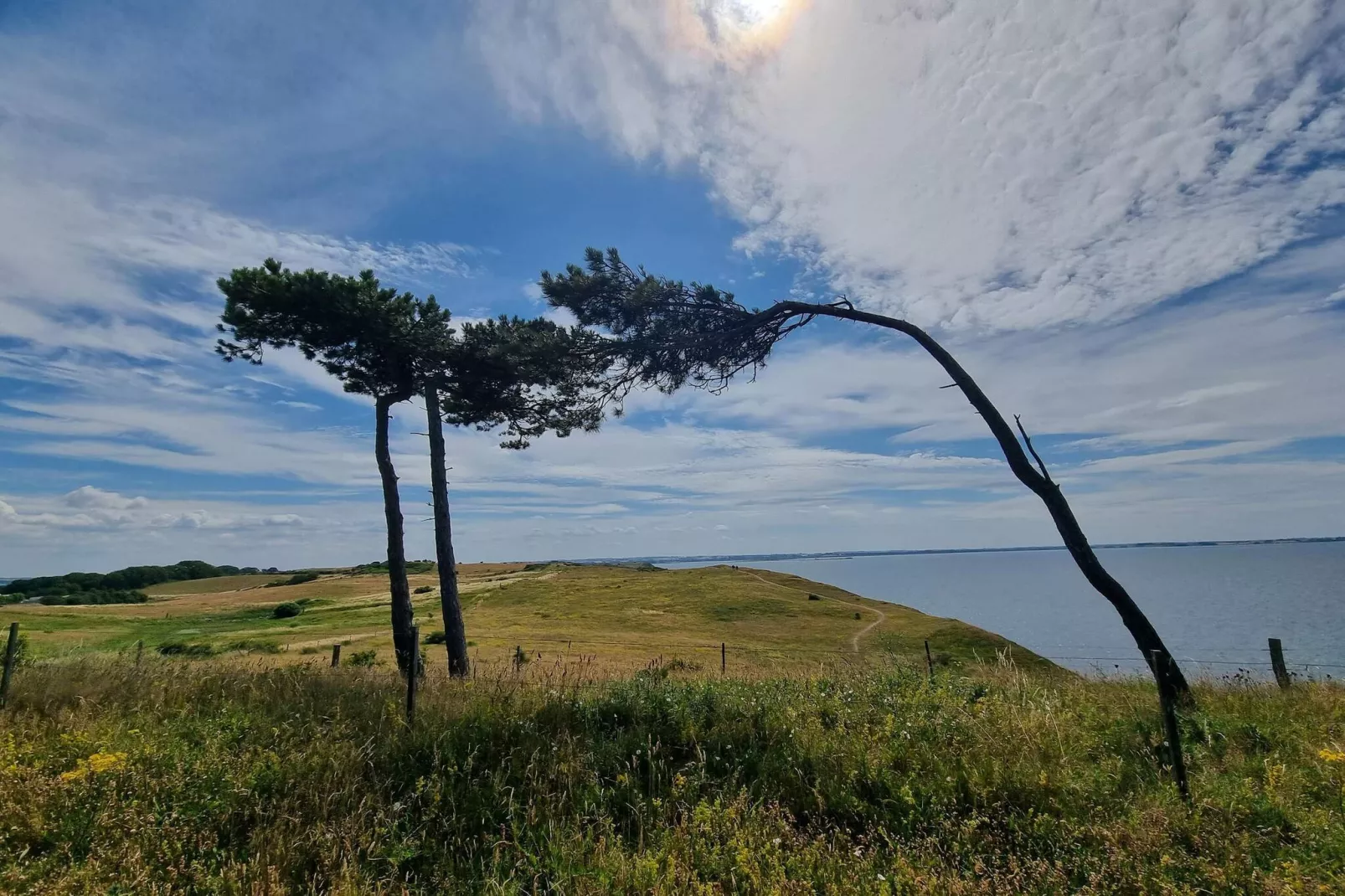 4 persoons vakantie huis in Føllenslev-By Traum