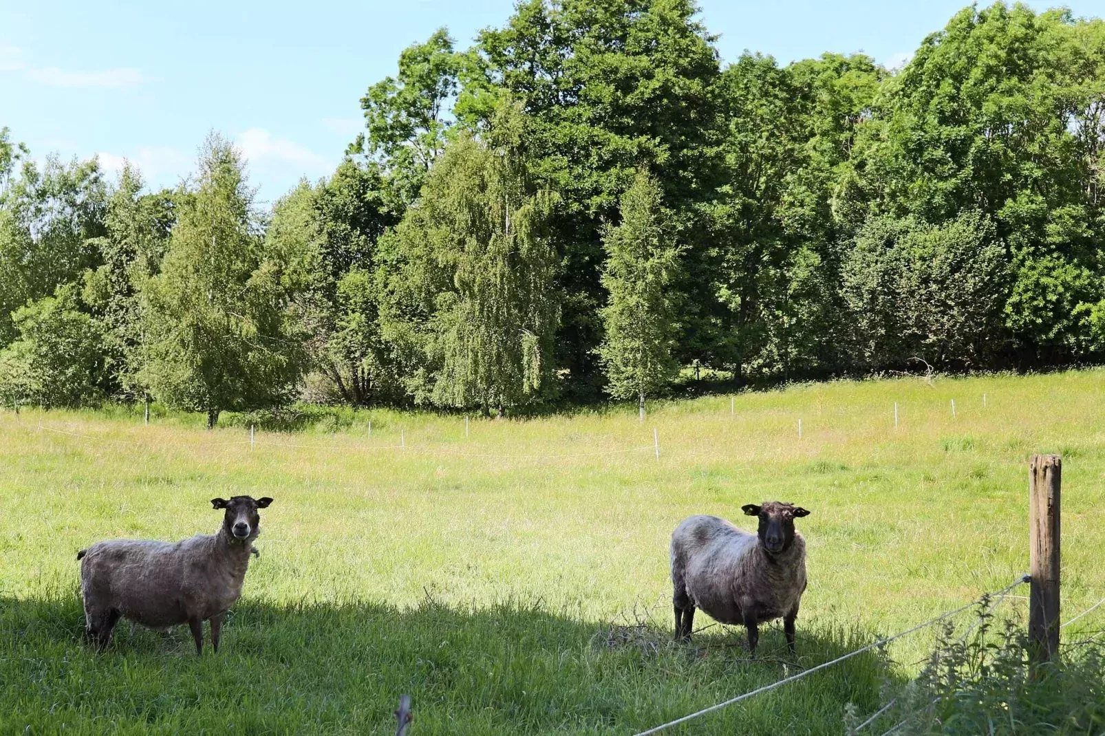 4 persoons vakantie huis in ROLFSTORP-By Traum-Niet-getagd