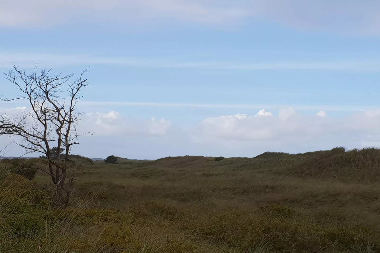 6 persoons vakantie huis in Jerup-By Traum-Niet-getagd