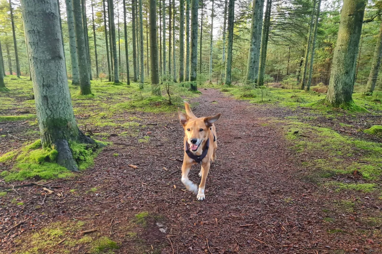 Rustig toevluchtsoord in Rabjerg -- By Traum Ferienwohnungen