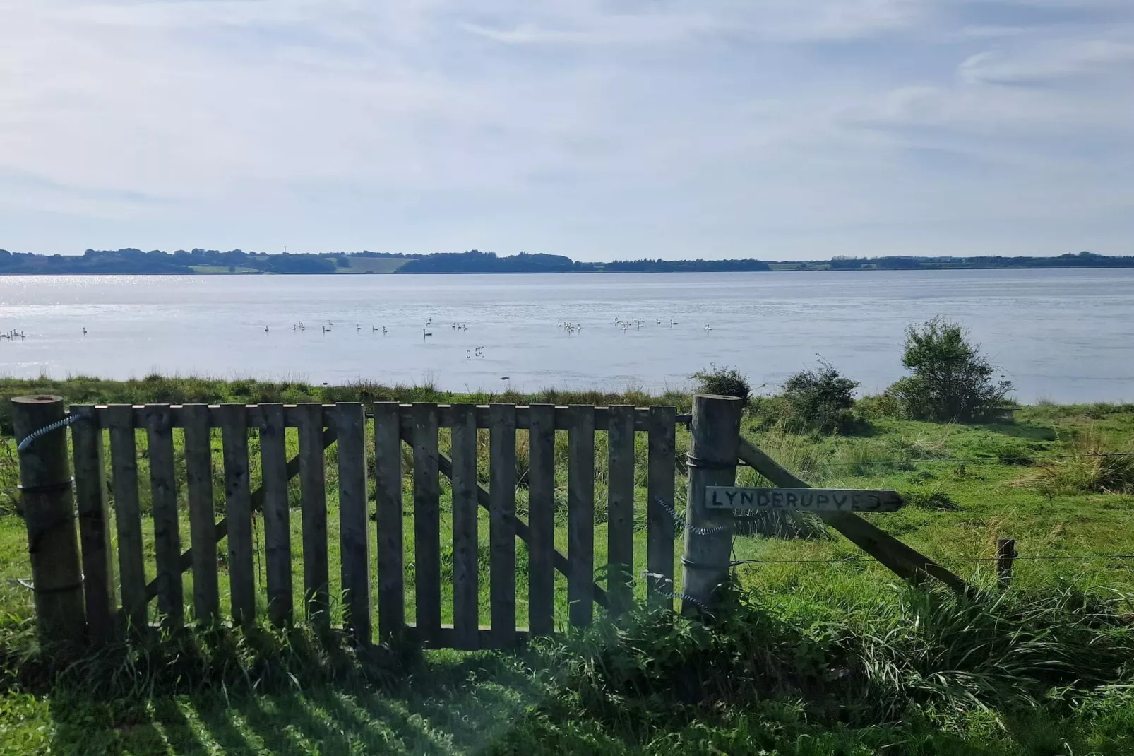 8 persoons vakantie huis in Skals-By Traum-Niet-getagd