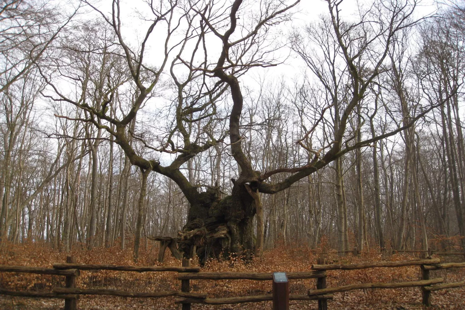 7 persoons vakantie huis in Jægerspris-By Traum-Niet-getagd