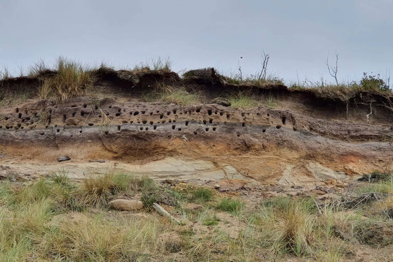 6 persoons vakantie huis in Spøttrup-By Traum-Niet-getagd