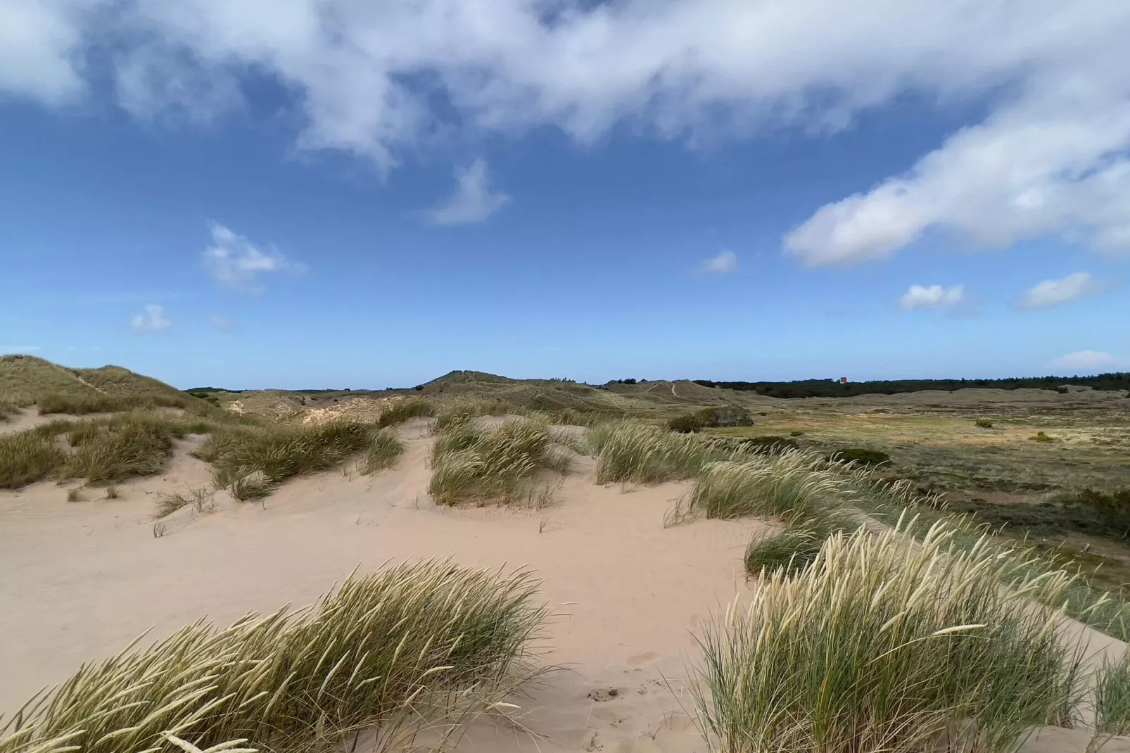 4 persoons vakantie huis in Skagen-By Traum