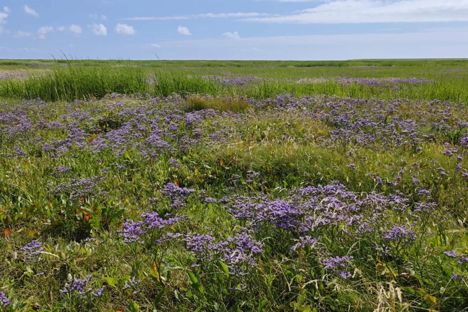 Sfeervolle retraite op Mando -- By Traum Ferienwohnungen-Niet-getagd