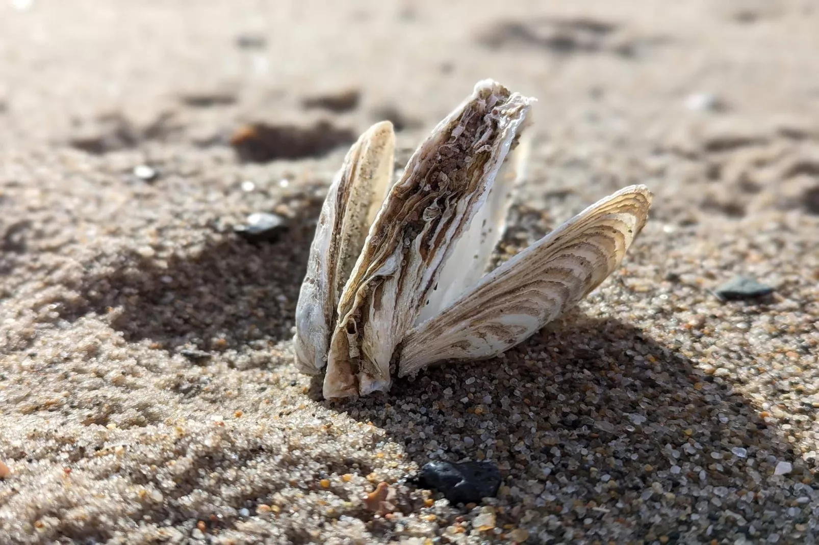 5 persoons vakantie huis in Vinderup-By Traum