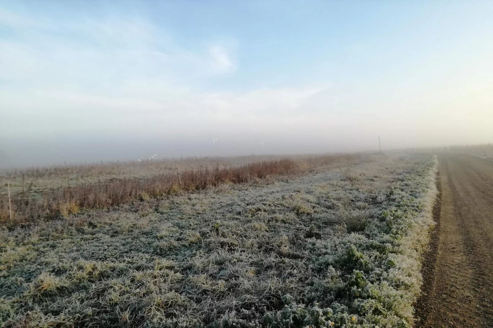 Moderne retraite in Lokken -- By Traum Ferienwohnungen-Niet-getagd