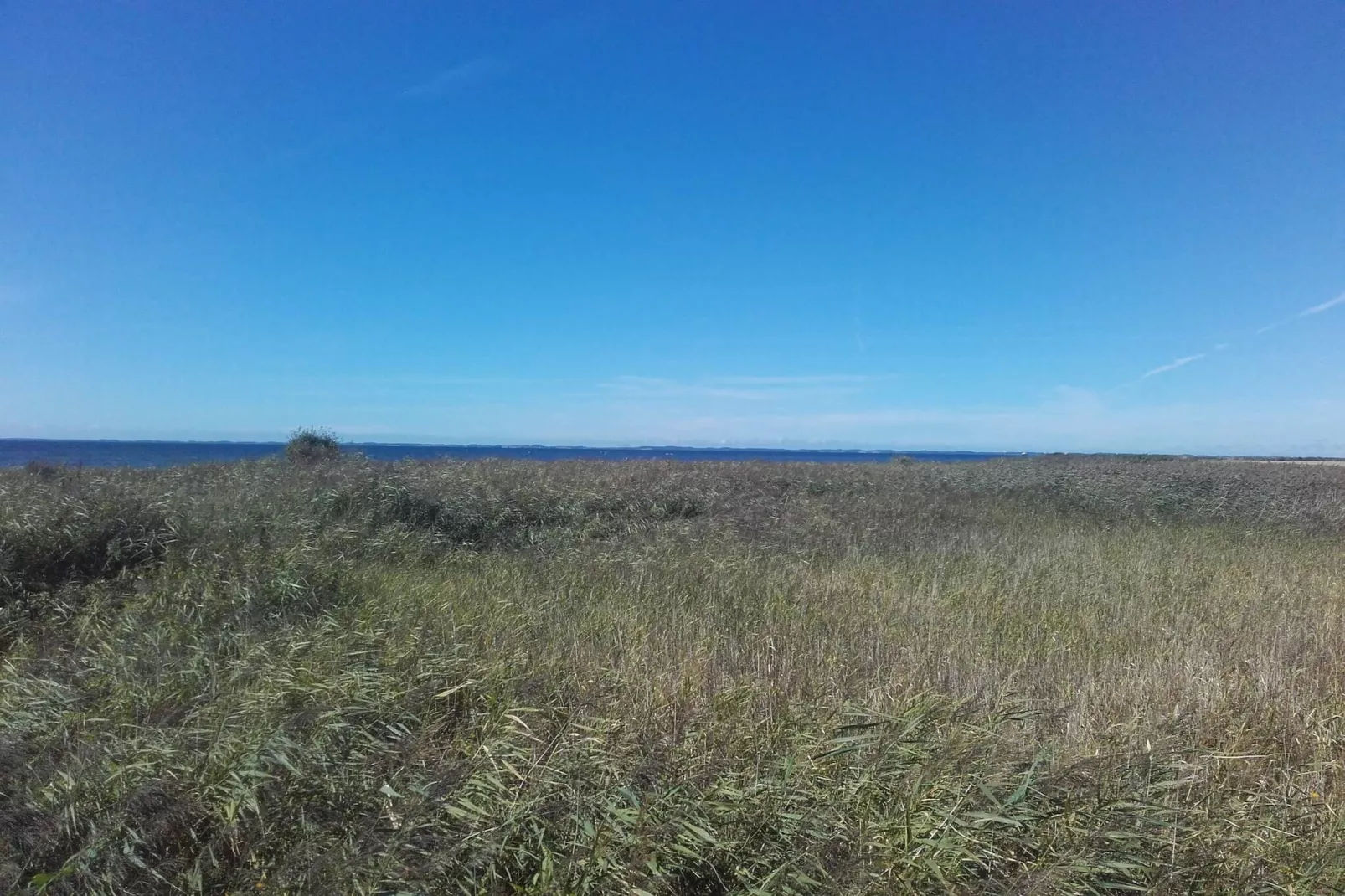 8 persoons vakantie huis in Harpelunde-By Traum-Niet-getagd