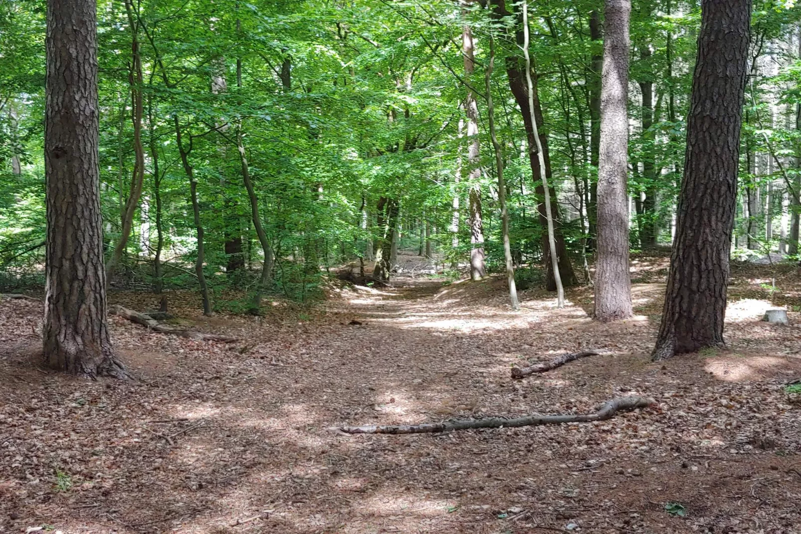 Gezinsplezier met binnenzwembad -- By Traum Ferienwohnungen