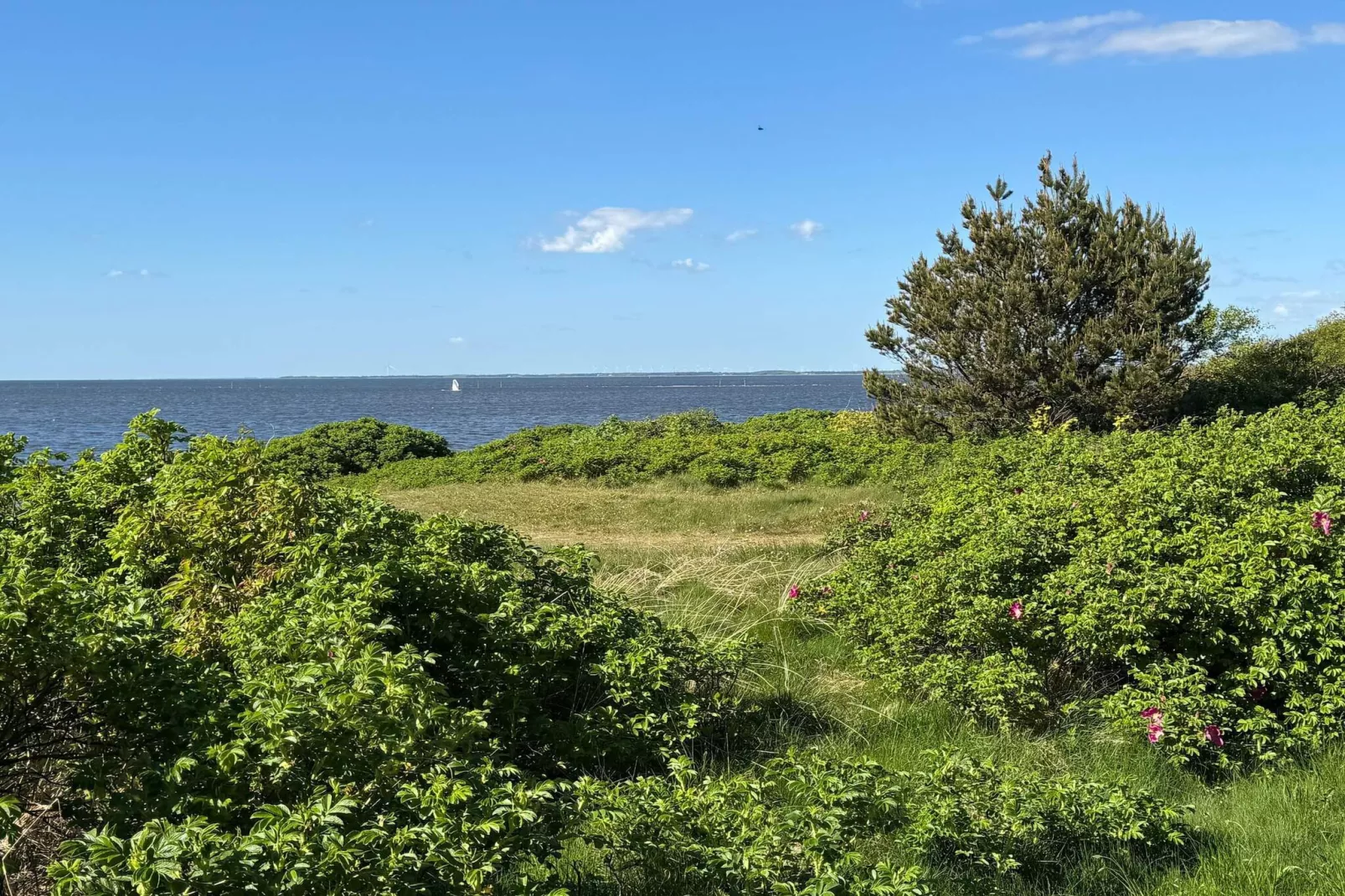 8 persoons vakantie huis in Tarm-By Traum