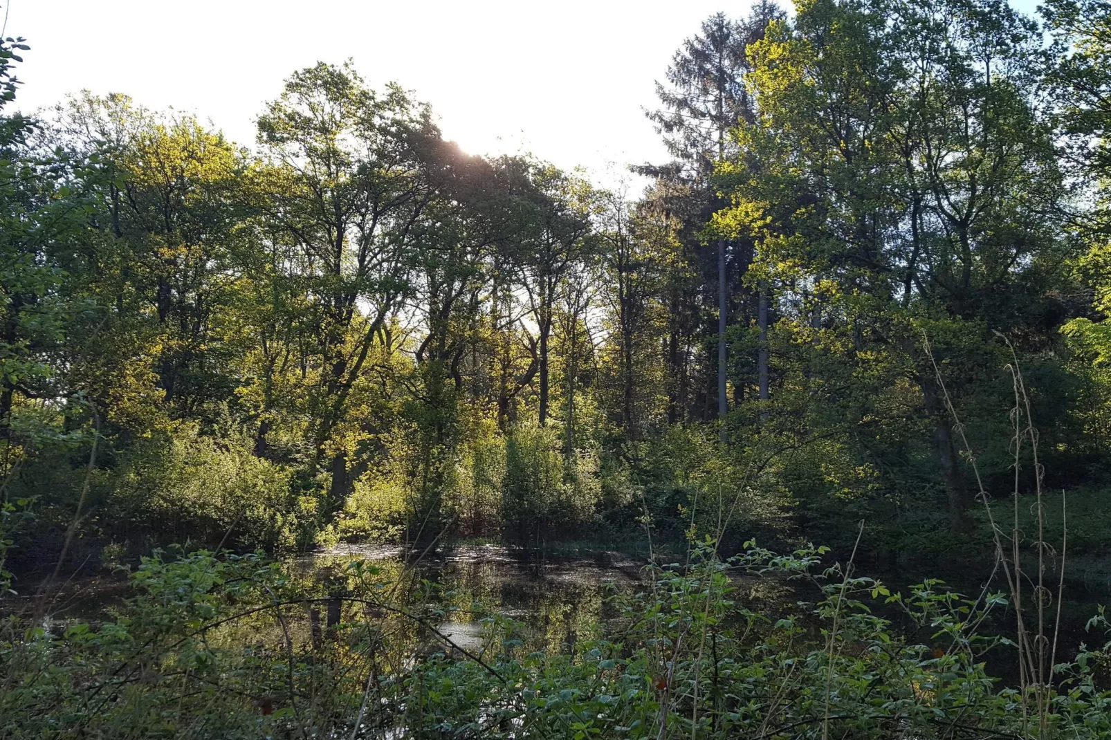 30 persoons vakantie huis in Ebeltoft-By Traum