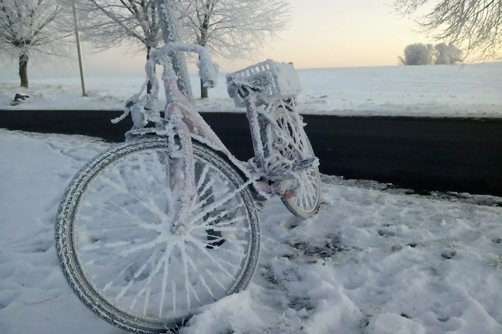 Ferienwohnung Möwe - viele Kinder-Extras strandnaher Urlaub Ostseebad Rerik-Gebied winter 5km