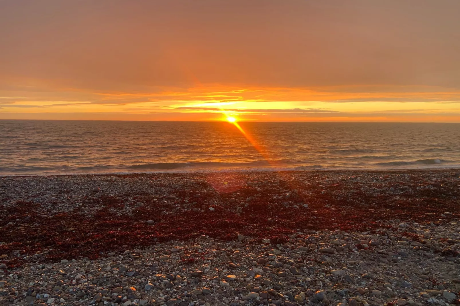Inselresort Vespucci-Gebieden zomer 5km