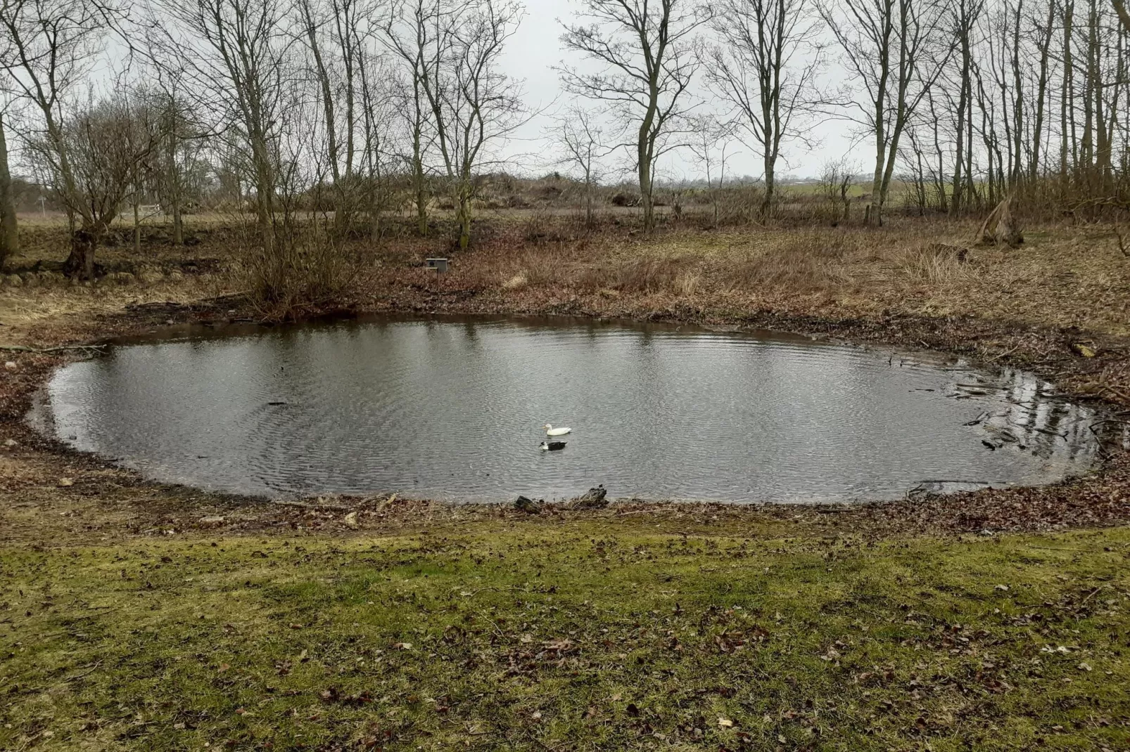 Kiebitzweg 12a EG Sonnenuhr-Gebieden zomer 1km