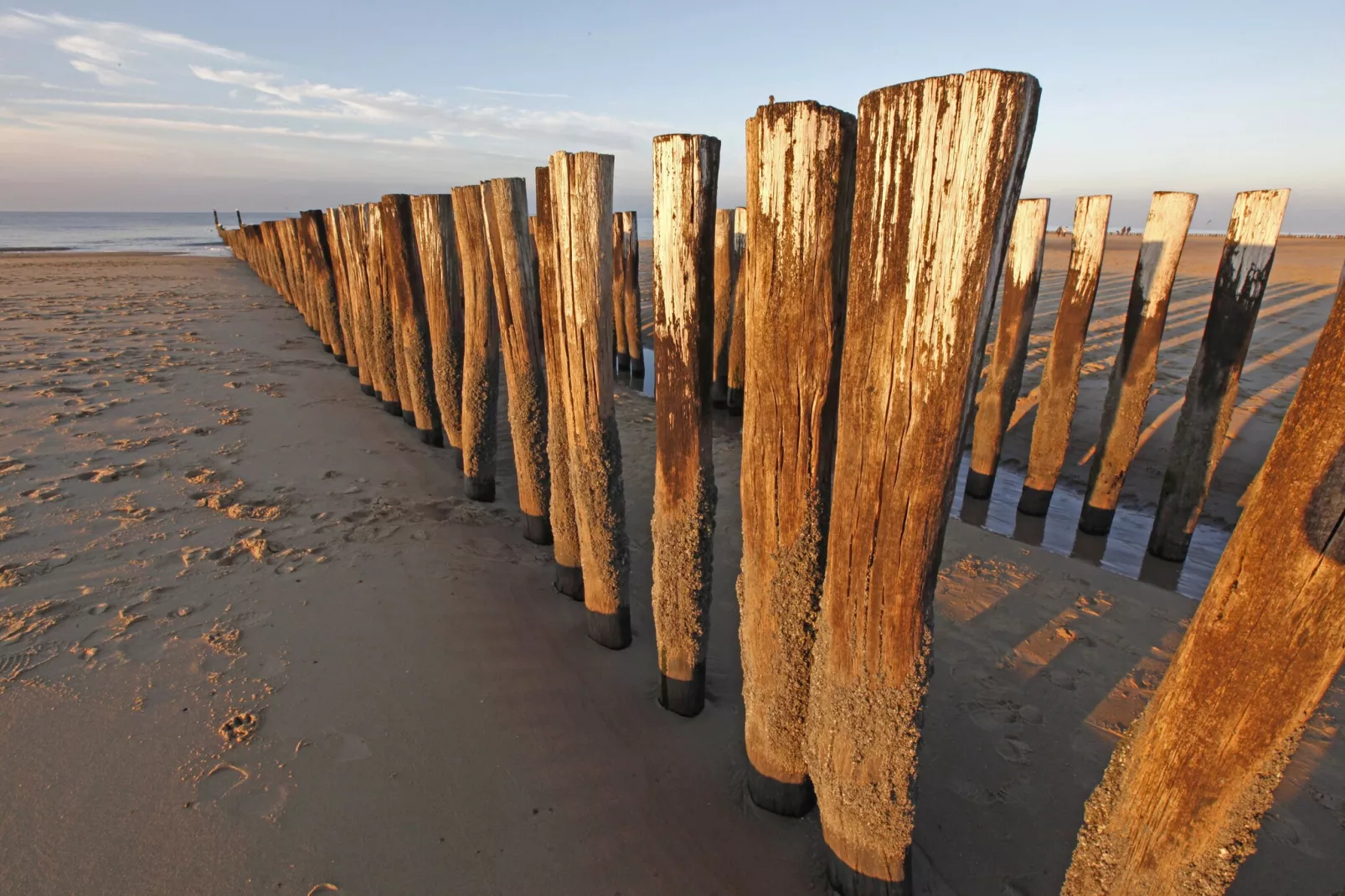 Appartement Duinhof Dishoek 13H - 6 pers de luxe-Gebieden zomer 1km