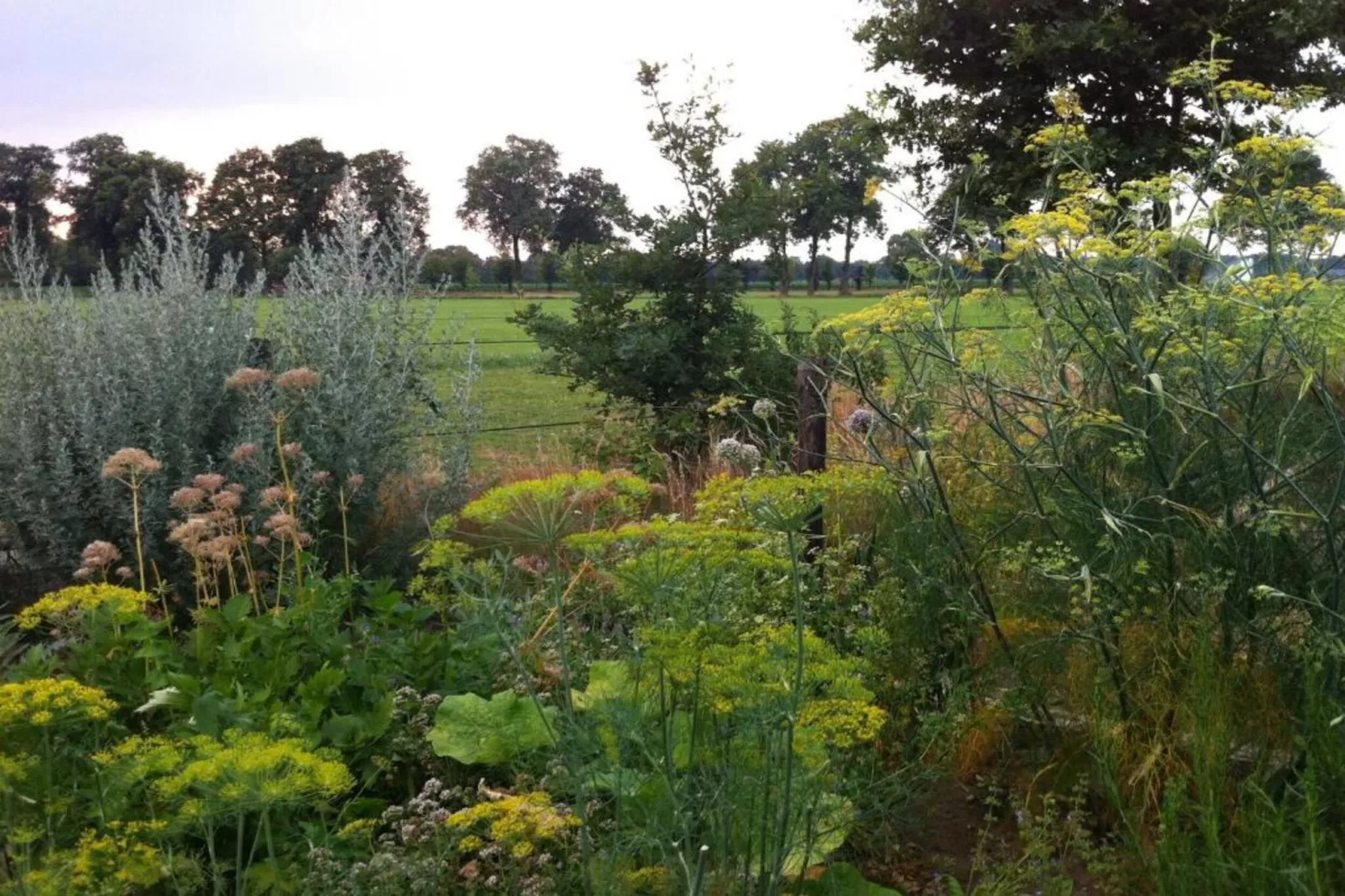 Bospark Markelo 3-Gebieden zomer 20km