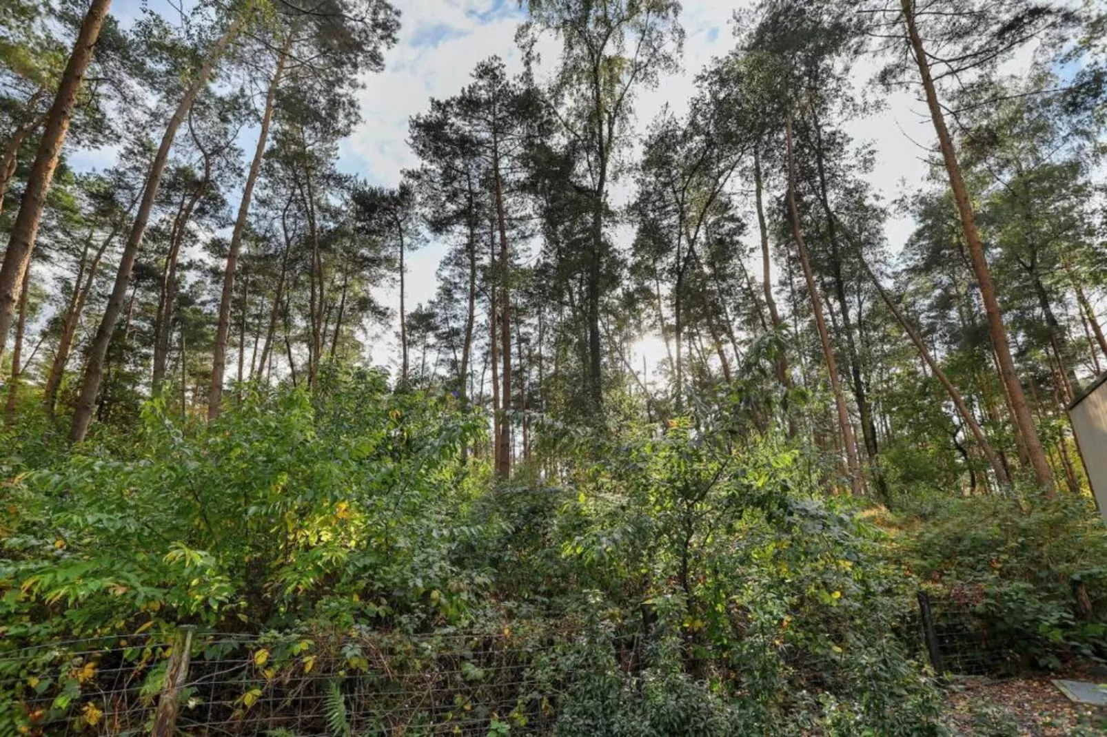 Bospark Markelo 7-Gebieden zomer 20km