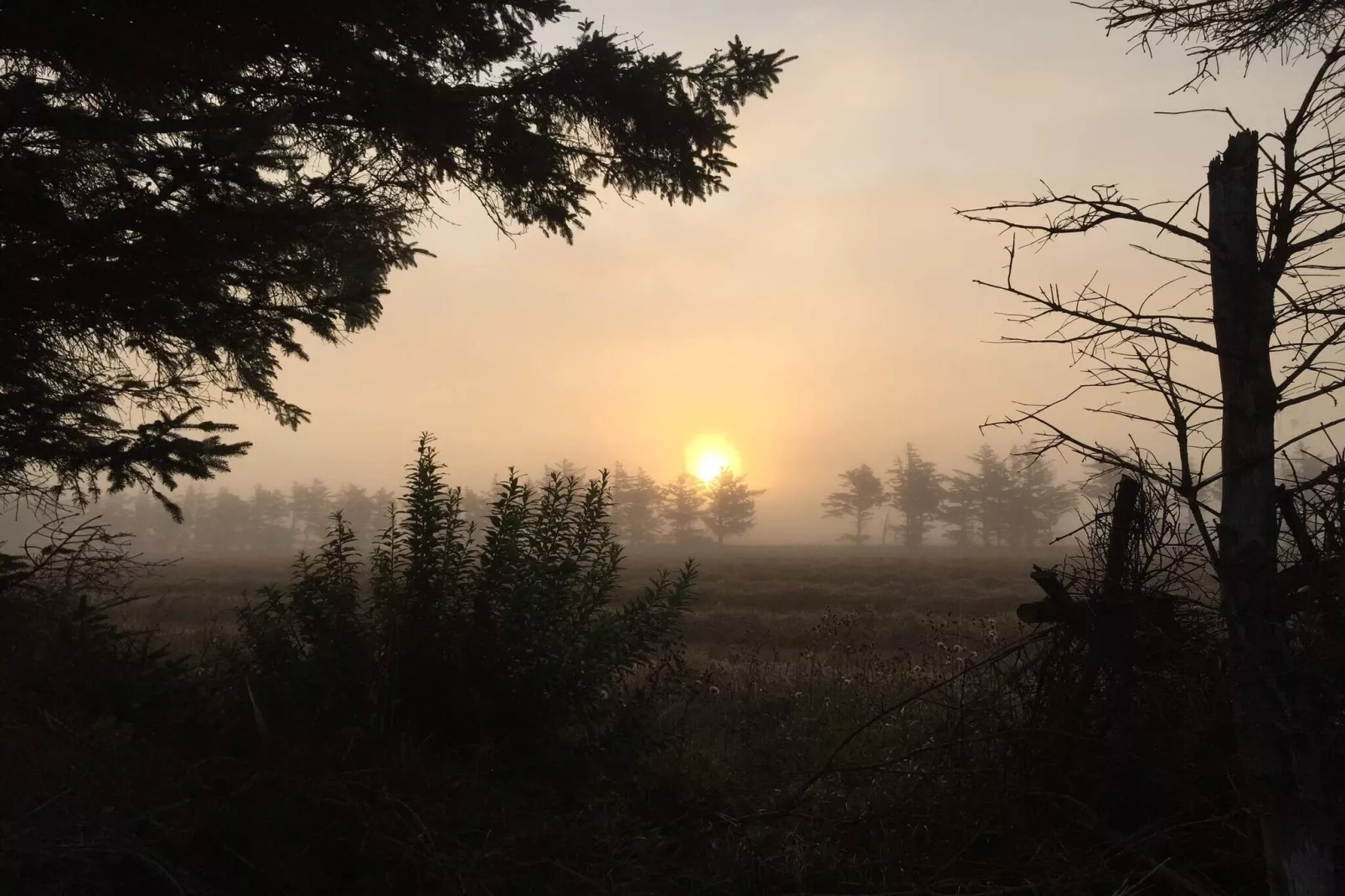Idyllisch natuurlijk toevluchtsoord -- By Traum Ferienwohnungen