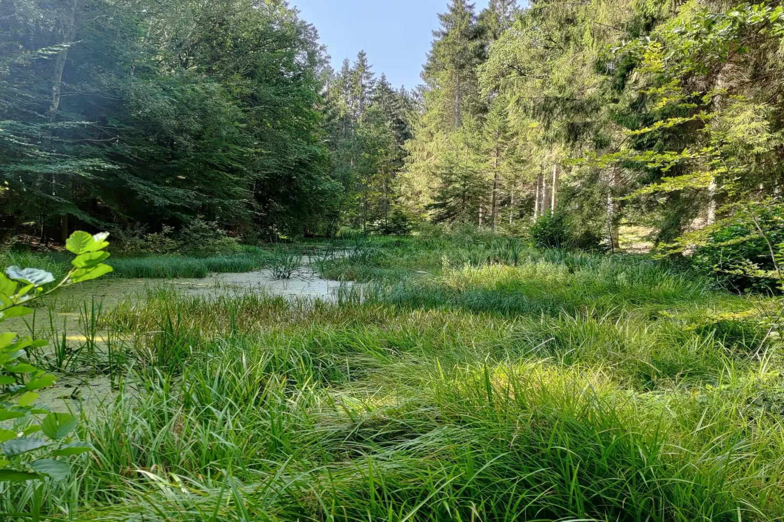 6 persoons vakantie huis in Glesborg