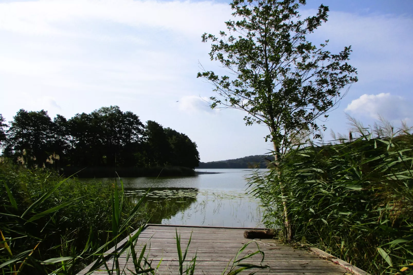 Holiday home Kolczewo 35 qm Nr 2-Gebieden zomer 1km