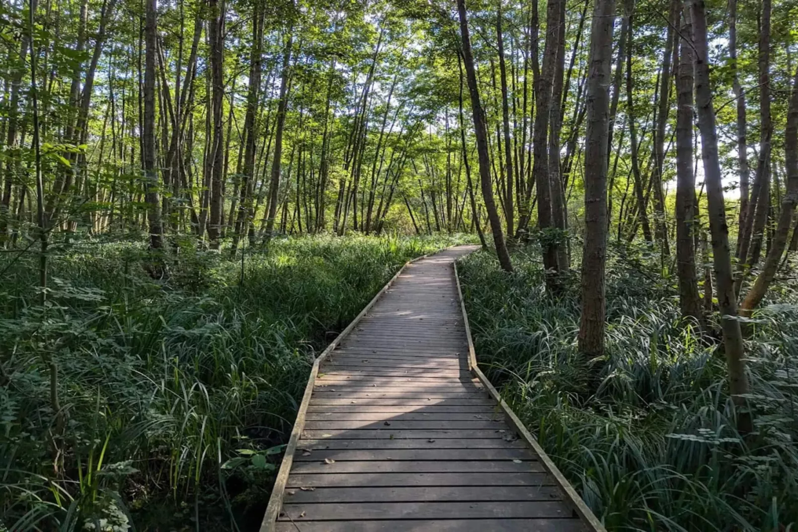 4 persoons vakantie huis in Frederiksværk-By Traum-Niet-getagd