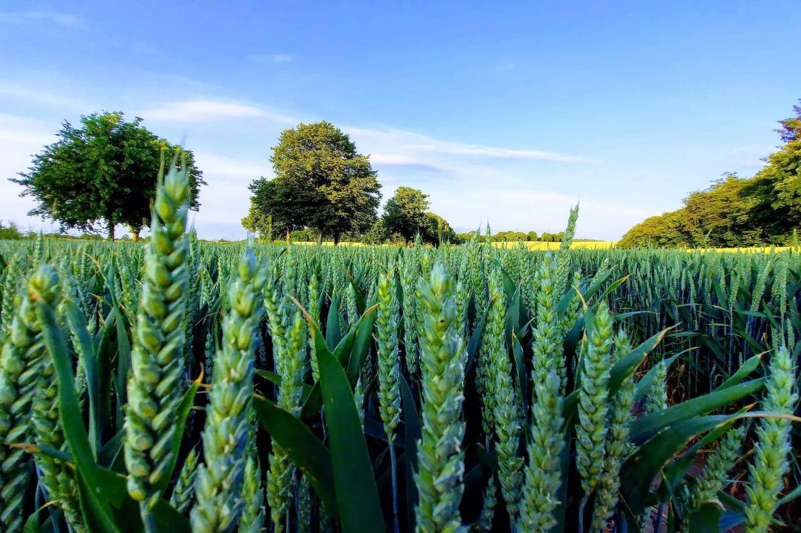 Sfeervol Vissershuisje -- By Traum Ferienwohnungen-Niet-getagd